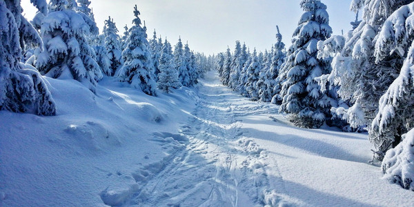 Winterlandschaft. Foto: Pixabay.